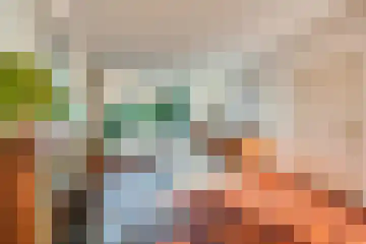 Lieven de Keylaan 15 Hilversum thumbnail 7