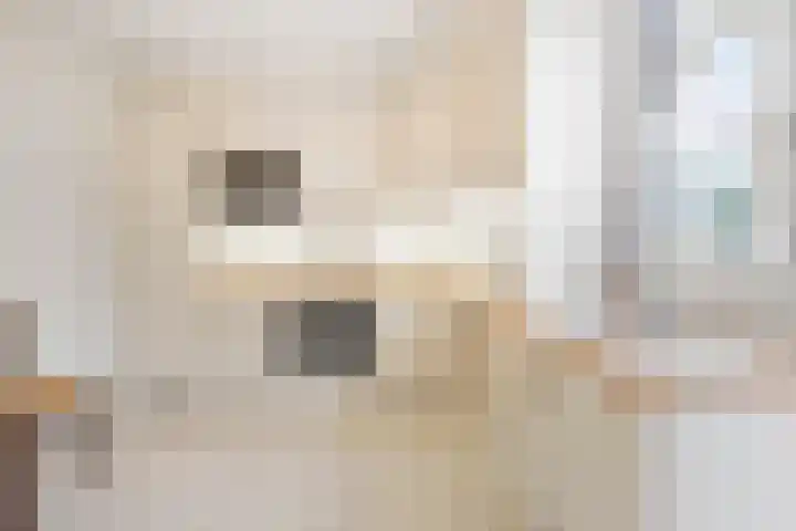 Lieven de Keylaan 18 Heemstede thumbnail 16