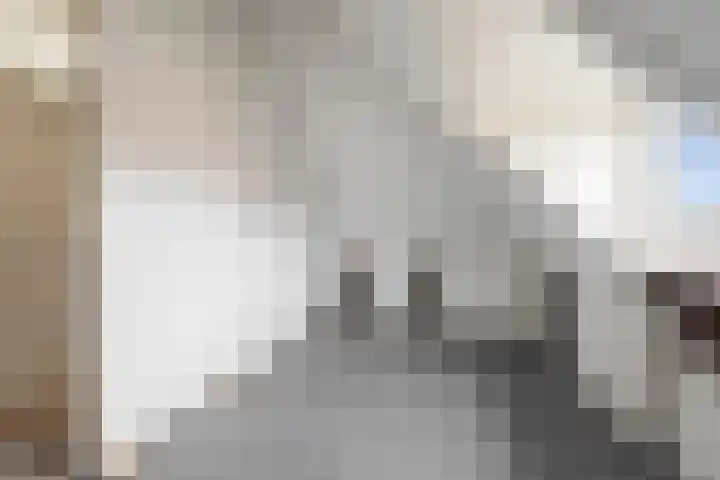 Lieven de Keylaan 18 Heemstede thumbnail 36