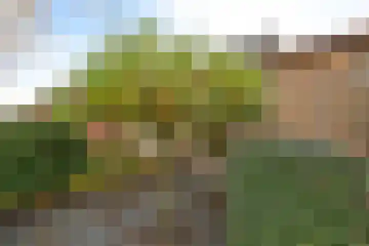 Lieven de Keylaan 67 Hilversum thumbnail 23