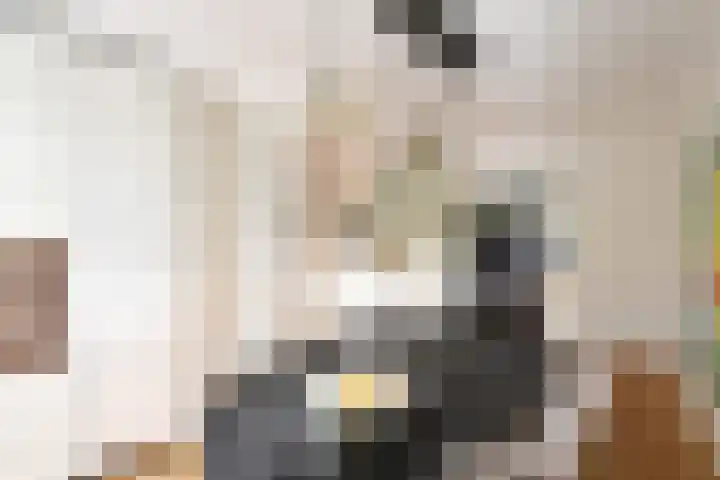 Lieven de Keylaan 67 Hilversum thumbnail 6