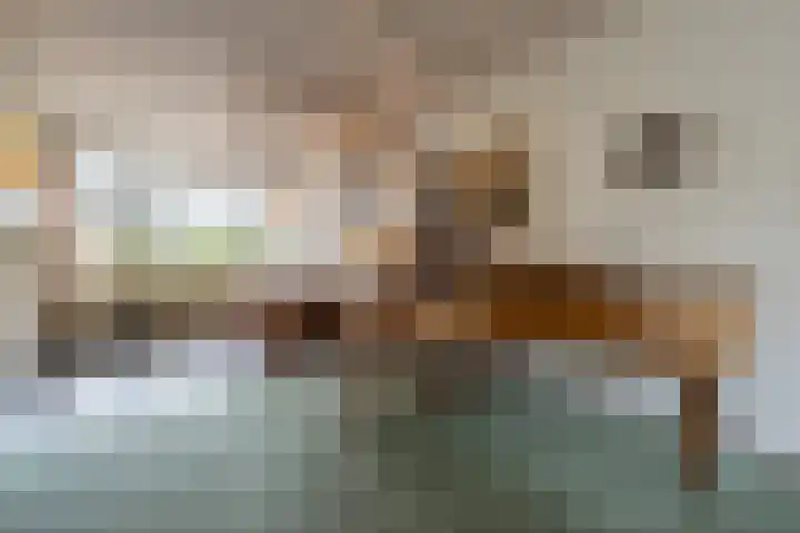 Lieven de Keystraat 105 Rotterdam thumbnail 14
