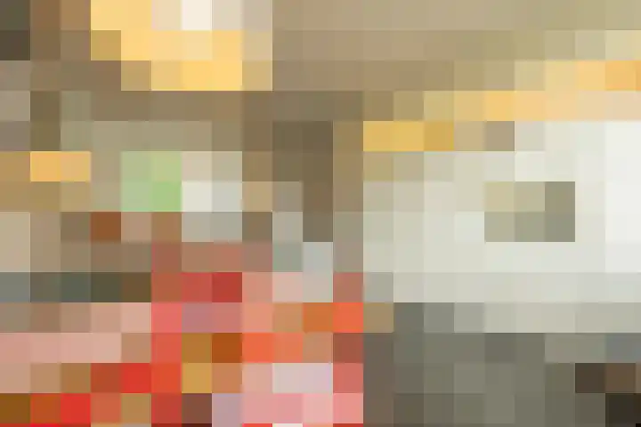 Lieven de Keystraat 105 Rotterdam thumbnail 17