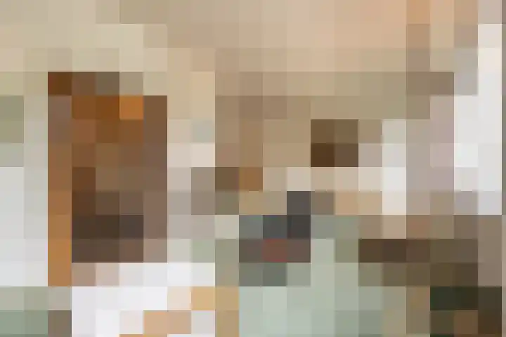 Lieven de Keystraat 105 Rotterdam thumbnail 4