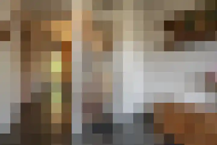 Lieven de Keystraat 105 Rotterdam thumbnail 44