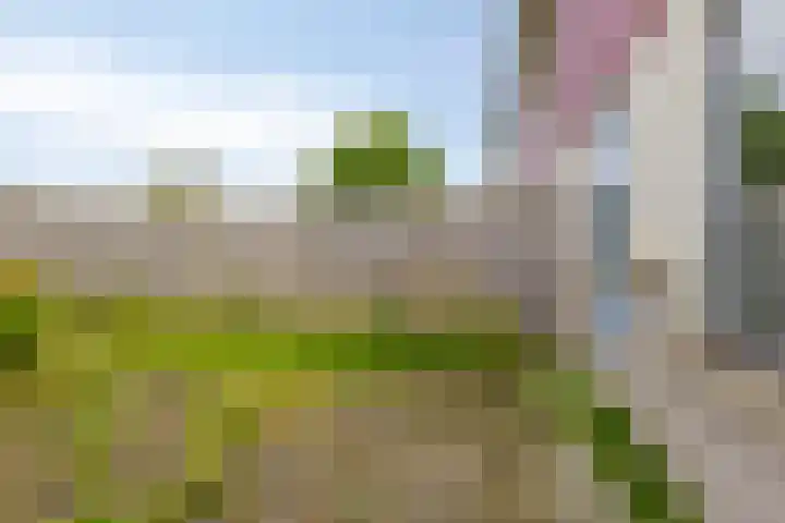 Lieven de Keystraat 32 Almere thumbnail 27