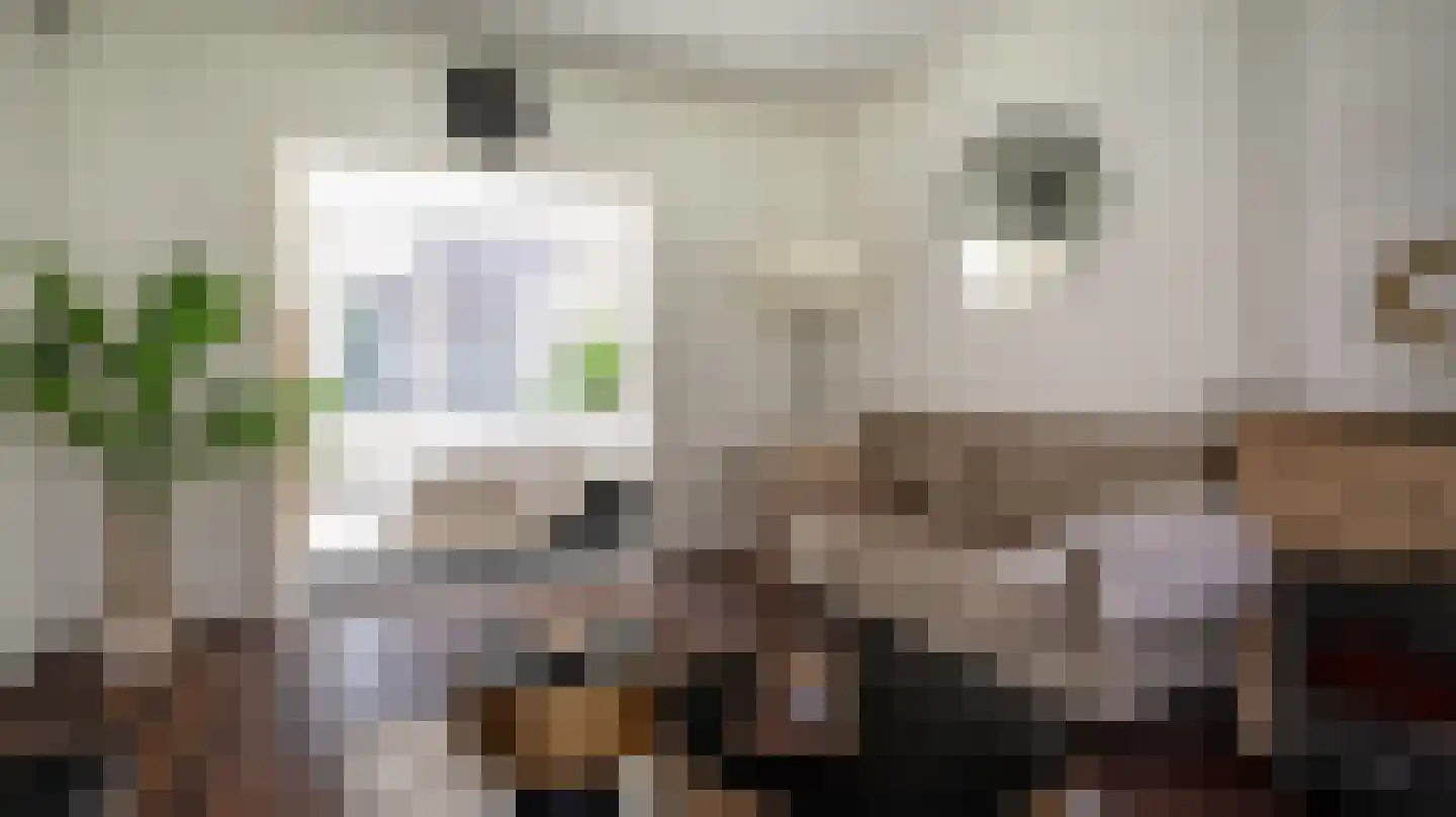 Lieven de Keystraat 4 Almelo thumbnail 4