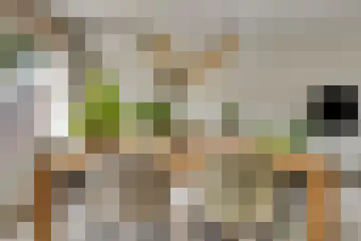 Lieven de Keystraat 86 Rotterdam thumbnail 10