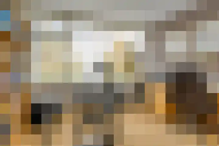 Lieven de Keystraat 86 Rotterdam thumbnail 26