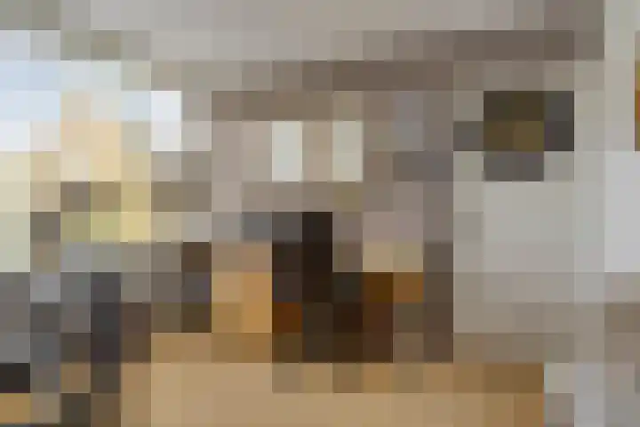 Lieven de Keystraat 86 Rotterdam thumbnail 27
