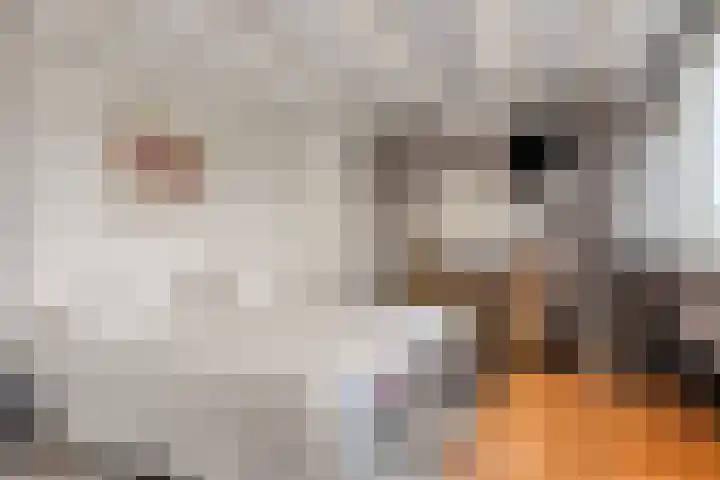 Lieven de Keystraat 86 Rotterdam thumbnail 32