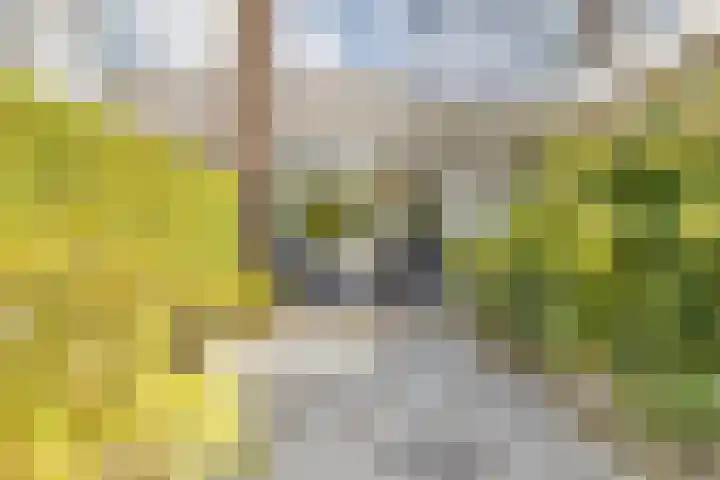 Lieven de Keystraat 86 Rotterdam thumbnail 44