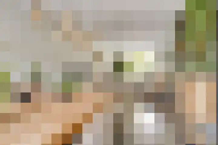Lieven de Keystraat 86 Rotterdam thumbnail 6