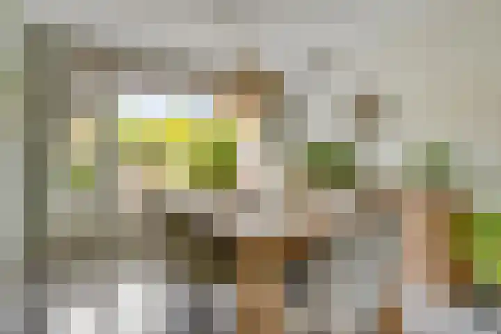 Lieven de Keystraat 86 Rotterdam thumbnail 9