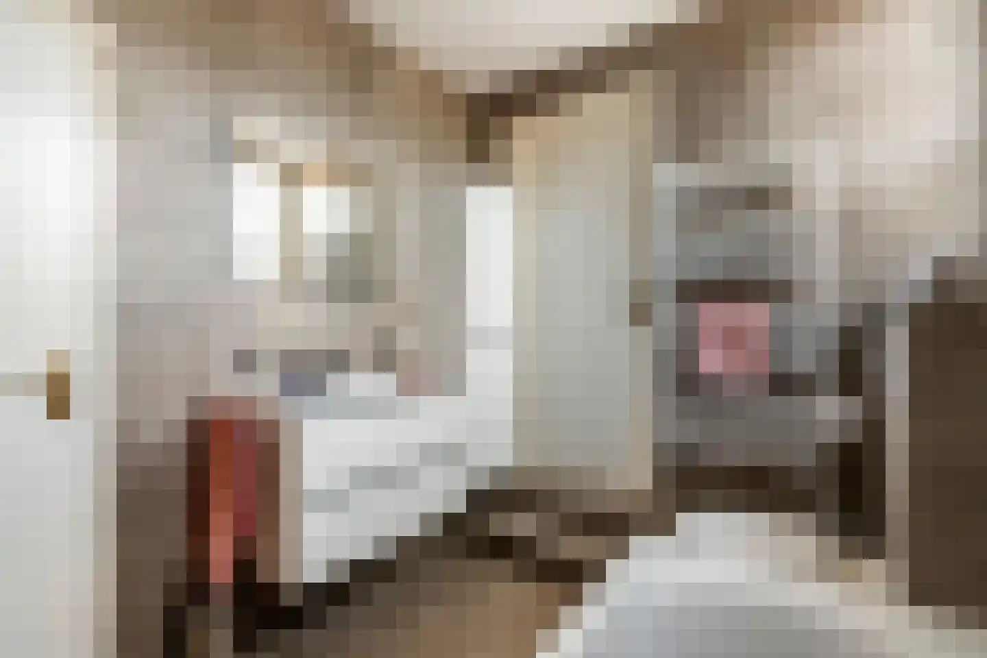 Lievendaal 14 Druten thumbnail 18