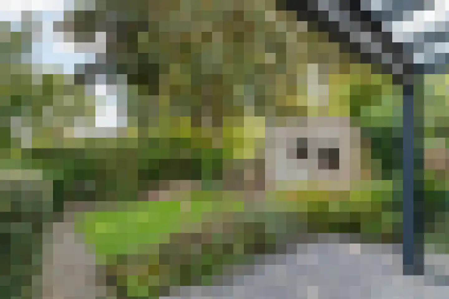 Lievendaal 14 Druten thumbnail 38