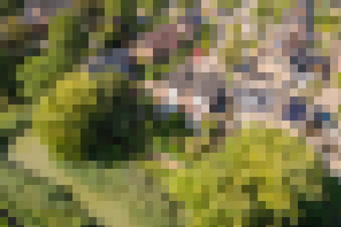 Lievendaal 14 Druten thumbnail 4