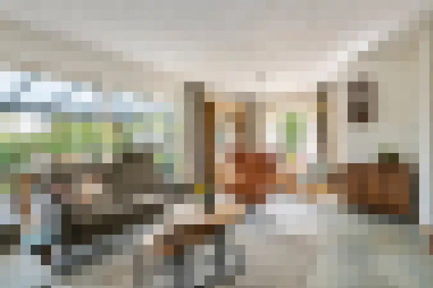 Lievendaal 14 Druten thumbnail 6