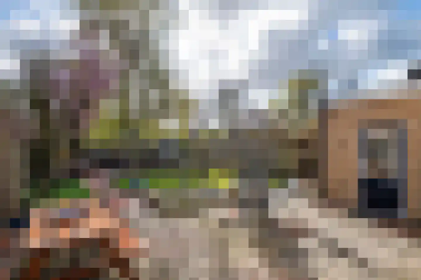 Lievendaal 20 Druten thumbnail 30