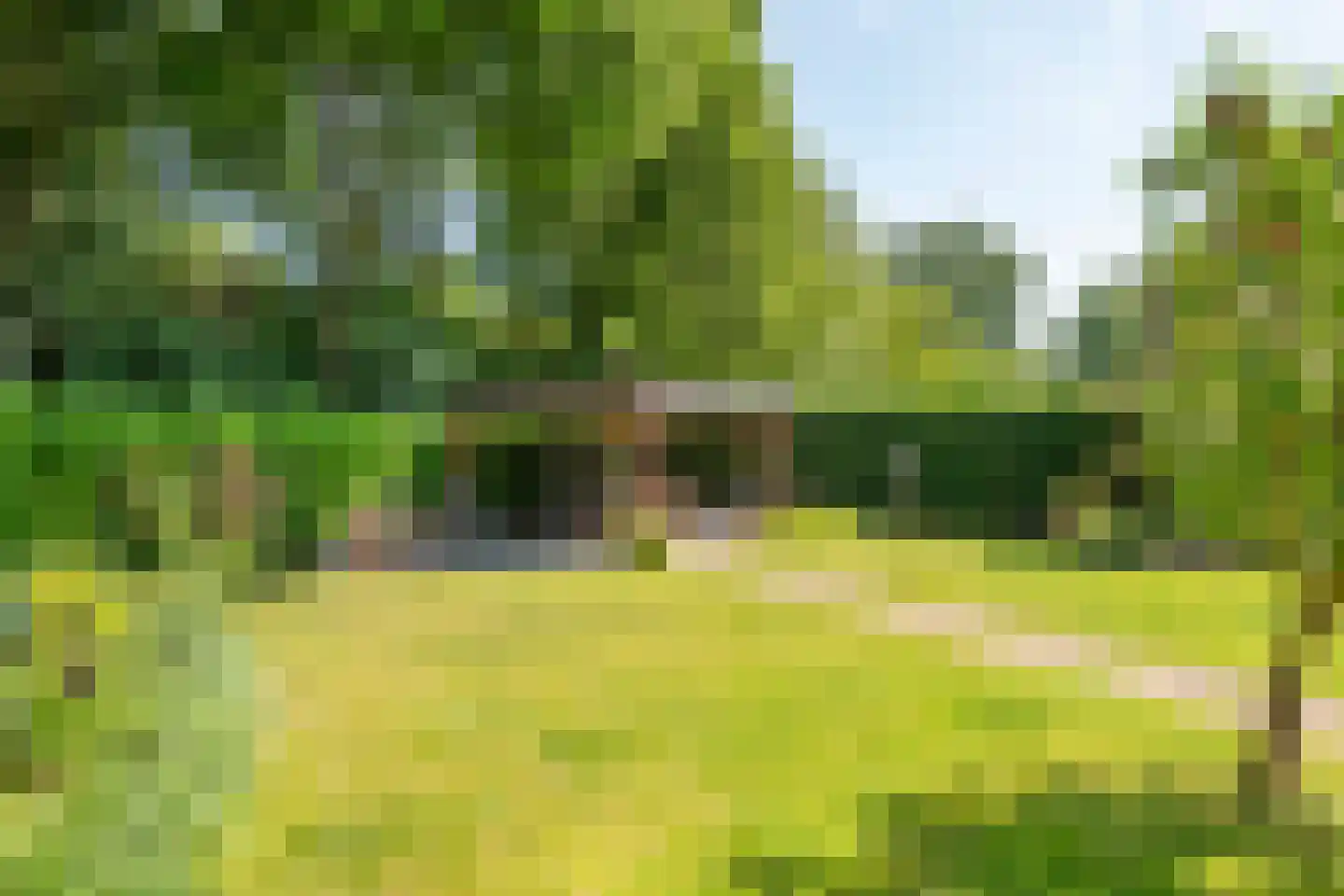 Lievendaal 46 Druten thumbnail 5
