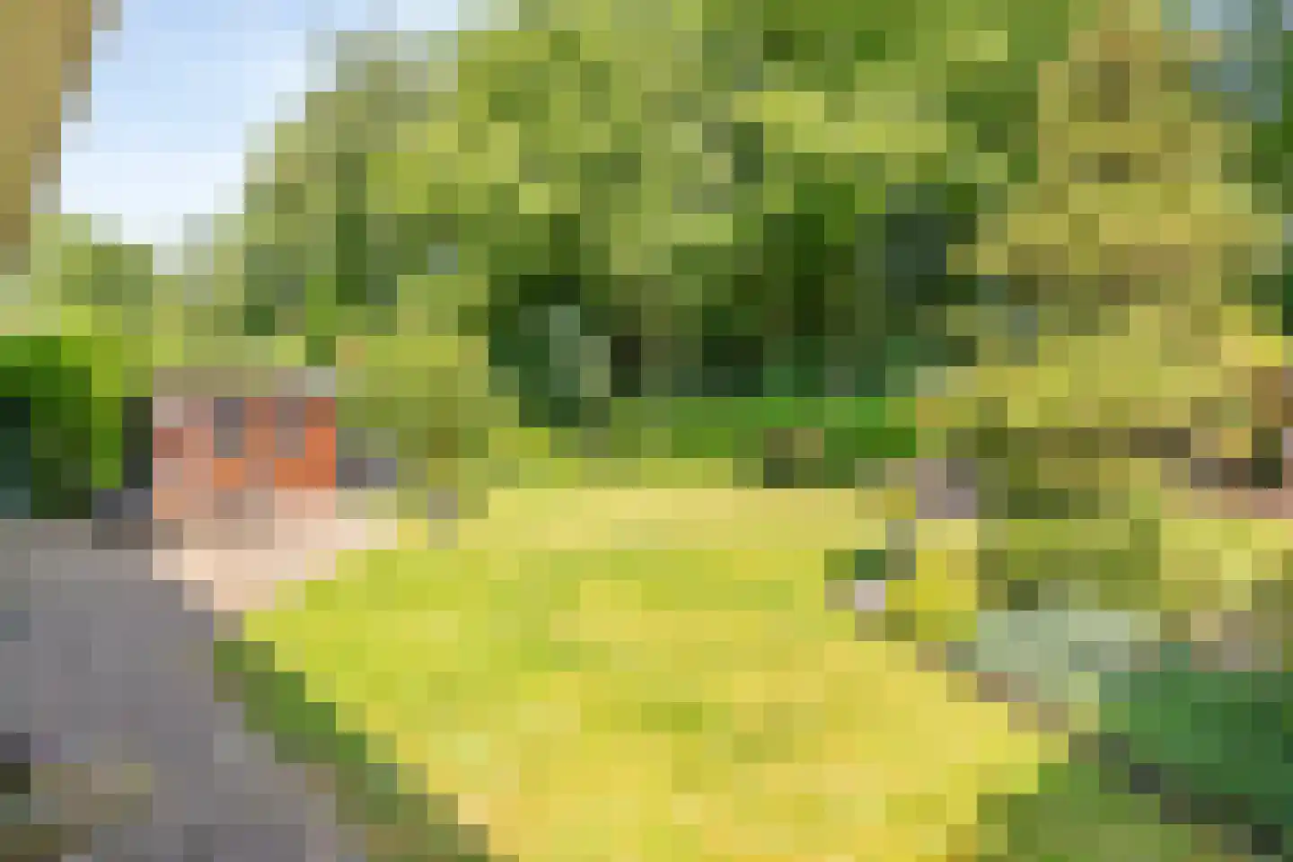 Lievendaal 46 Druten thumbnail 6
