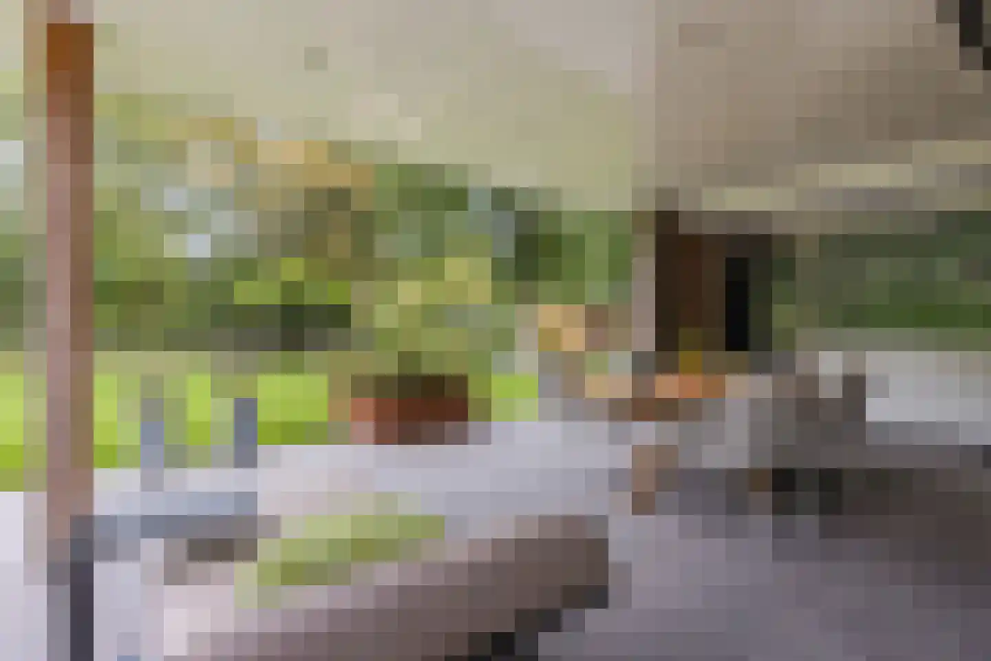 Lievendaal 62 Druten thumbnail 36