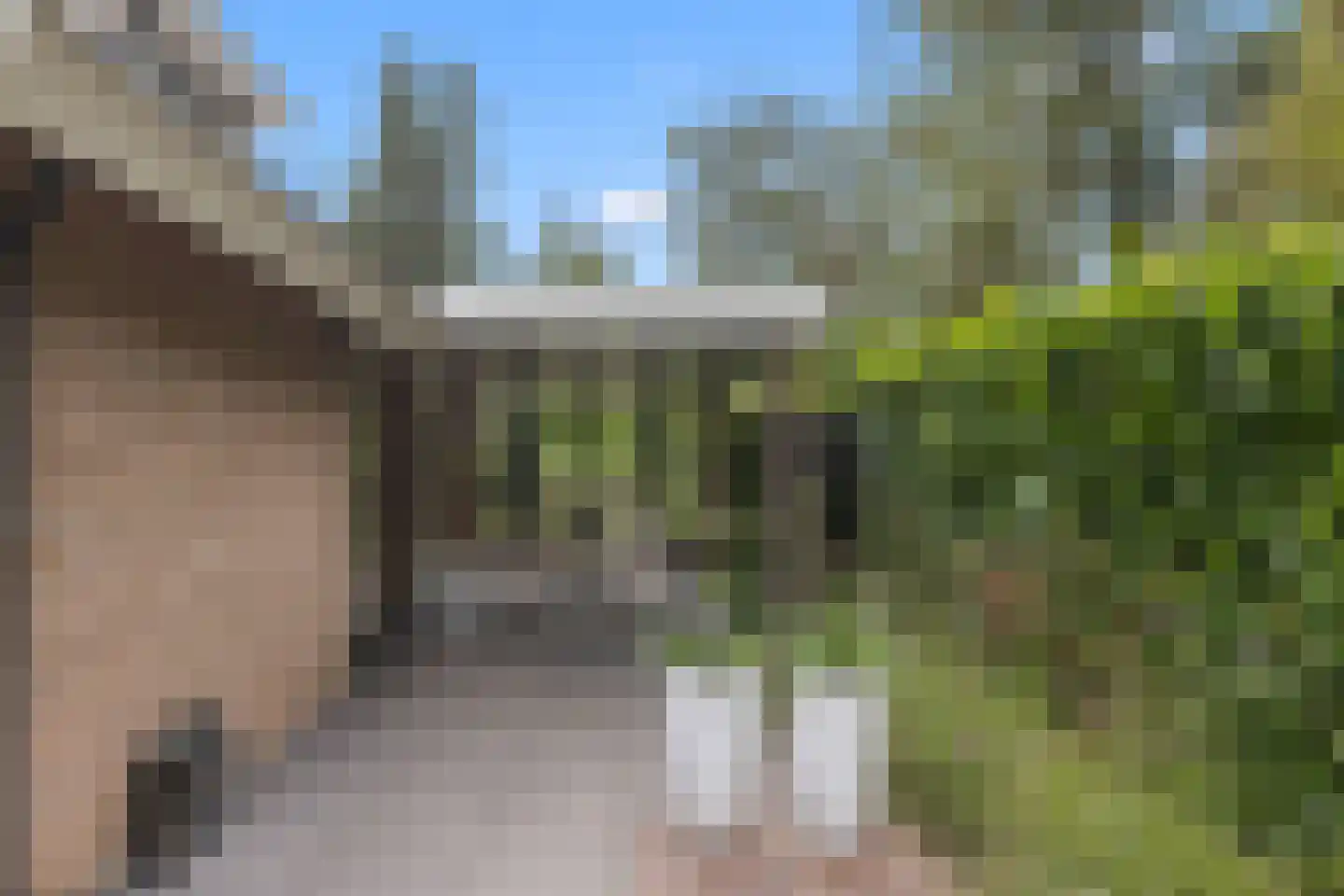 Lievendaal 62 Druten thumbnail 38