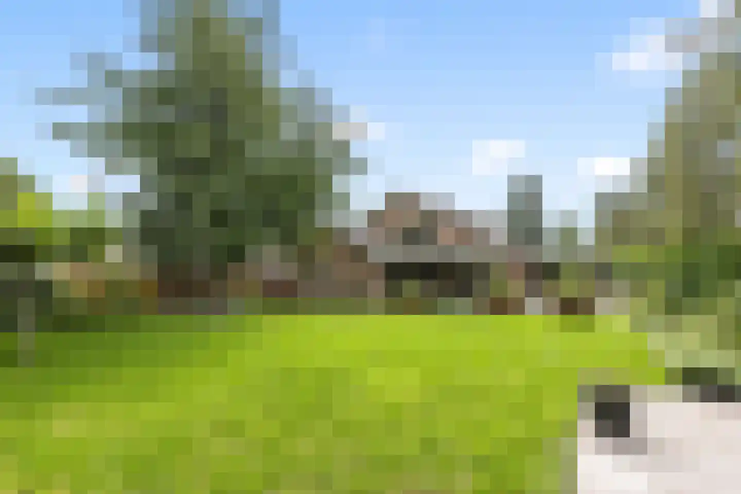 Lievendaal 62 Druten thumbnail 4