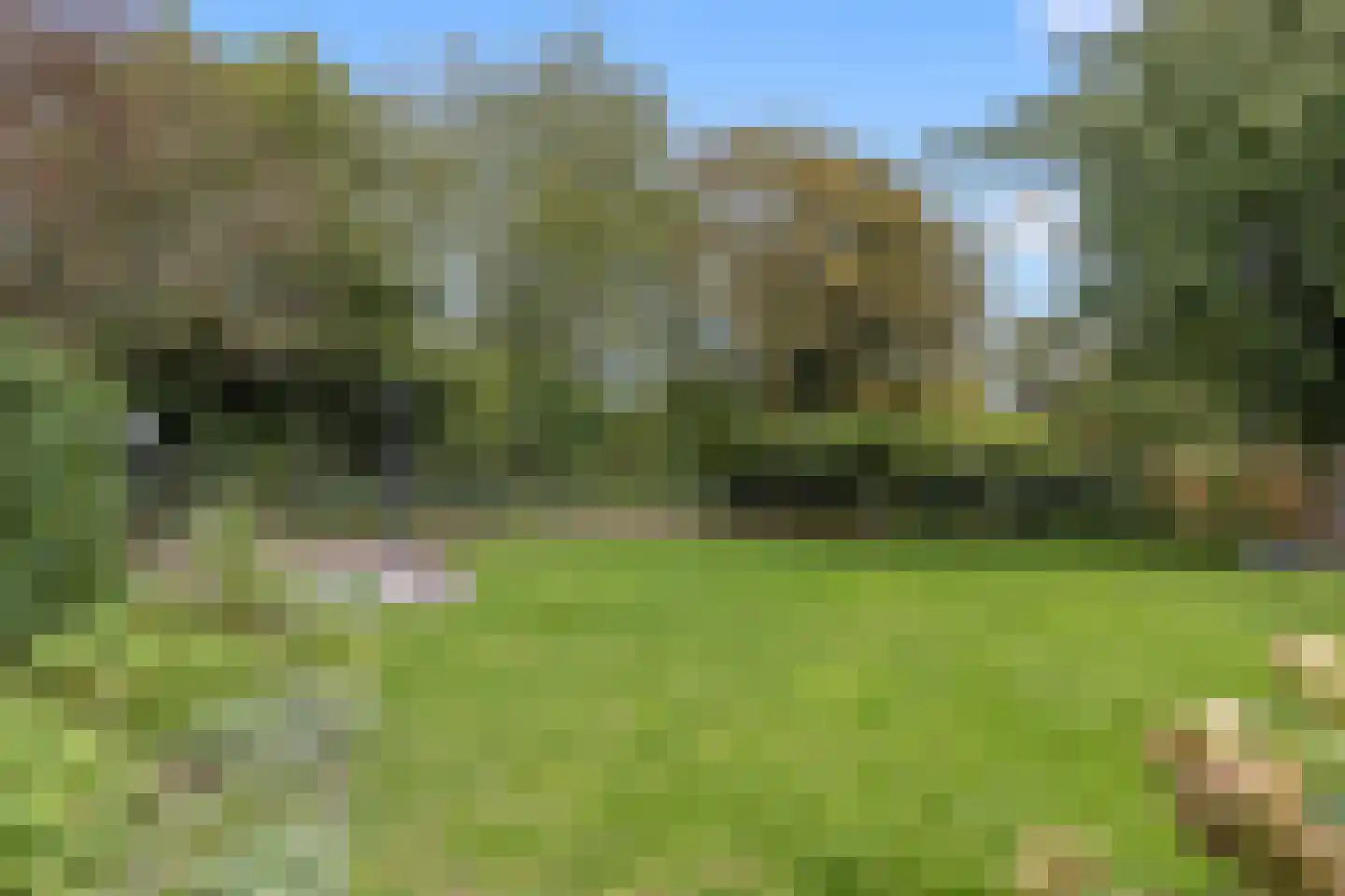 Lievendaal 62 Druten thumbnail 42