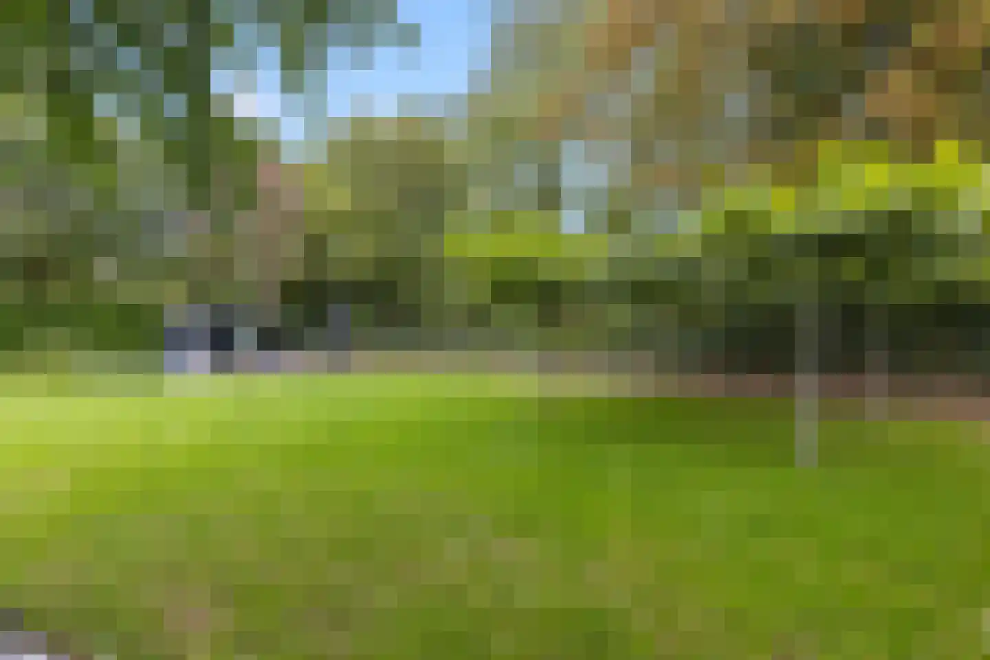 Lievendaal 62 Druten thumbnail 43