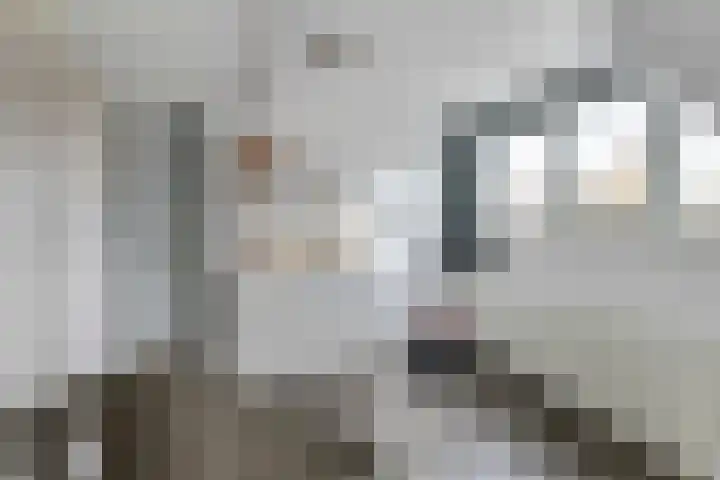 Lievendaal 7 Druten thumbnail 22