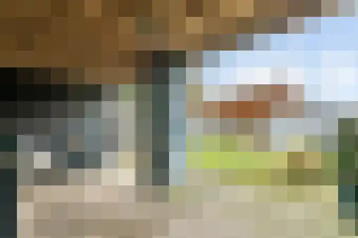 Lievendaal 7 Druten thumbnail 31