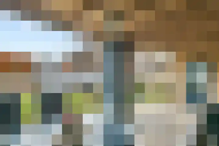 Lievendaal 7 Druten thumbnail 33