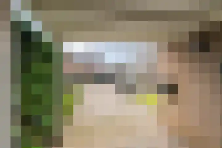 Lievendaal 7 Druten thumbnail 36