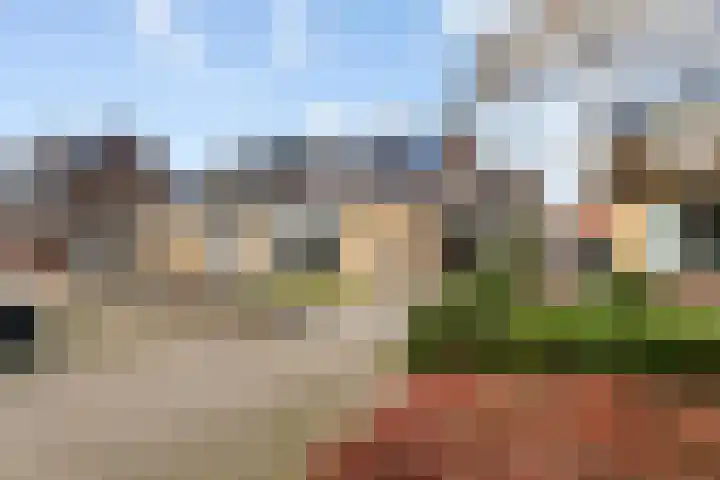 Lievendaal 7 Druten thumbnail 37