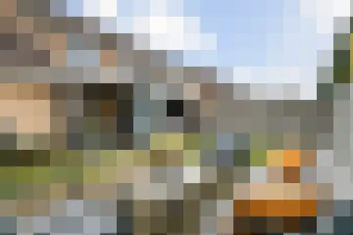 Lievendaal 7 Druten thumbnail 4
