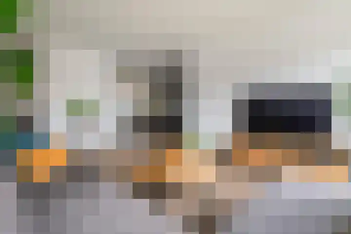 Lievendaal 7 Druten thumbnail 5