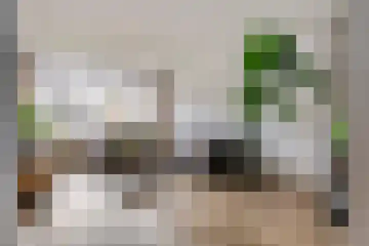 Lievendaal 7 Druten thumbnail 7