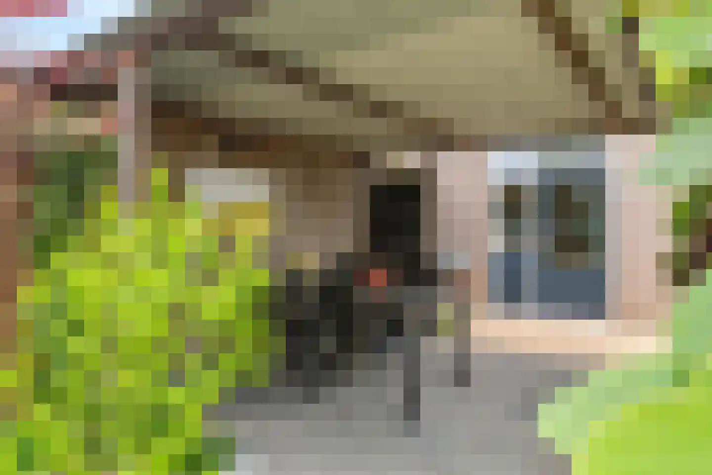 Lievendaal 82 Druten thumbnail 37