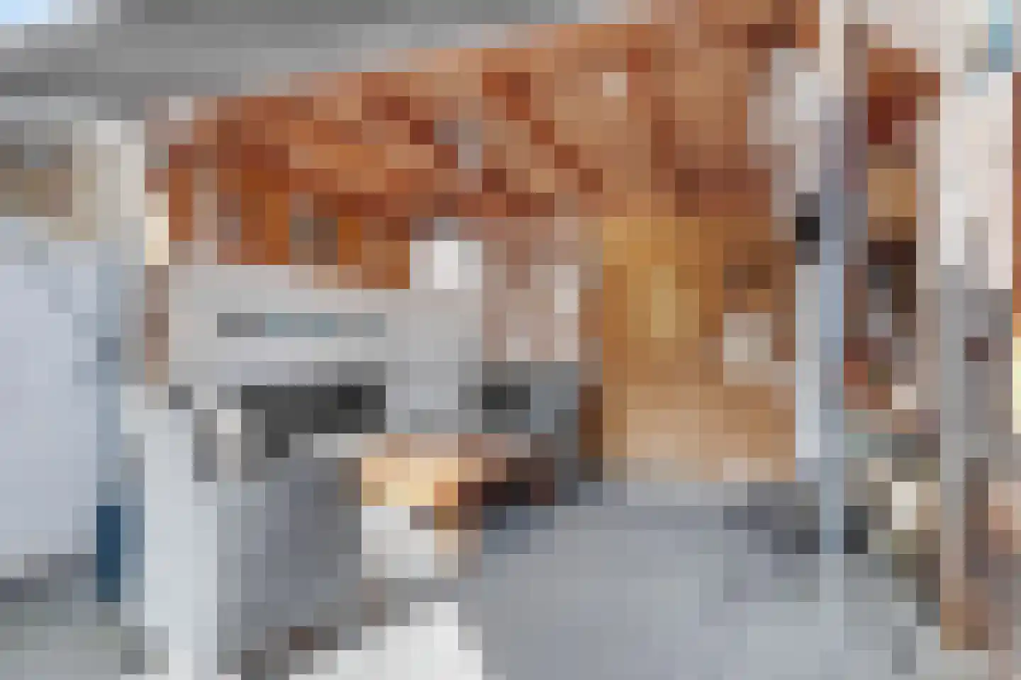 Lievendaallaan 29 Zeist thumbnail 27