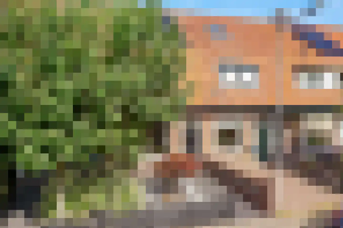 Lievendaallaan 29 Zeist thumbnail 31