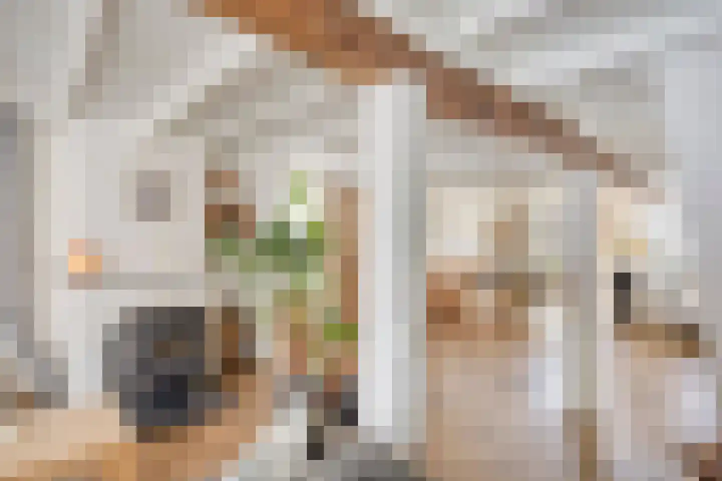 Lievenheersteeg 14 Zutphen thumbnail 14