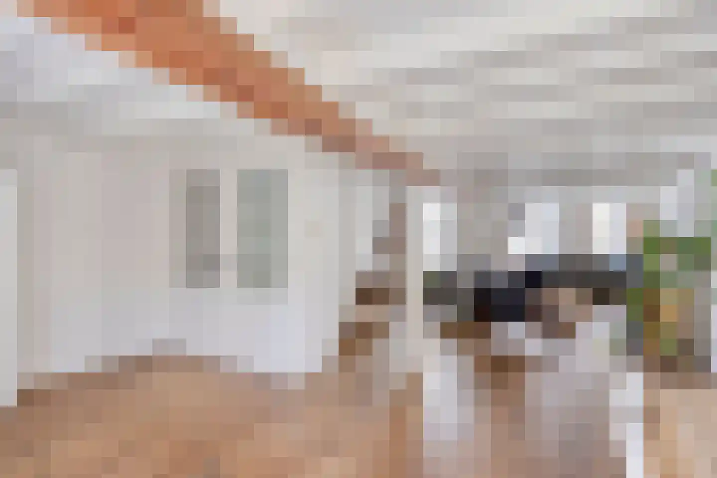 Lievenheersteeg 14 Zutphen thumbnail 16