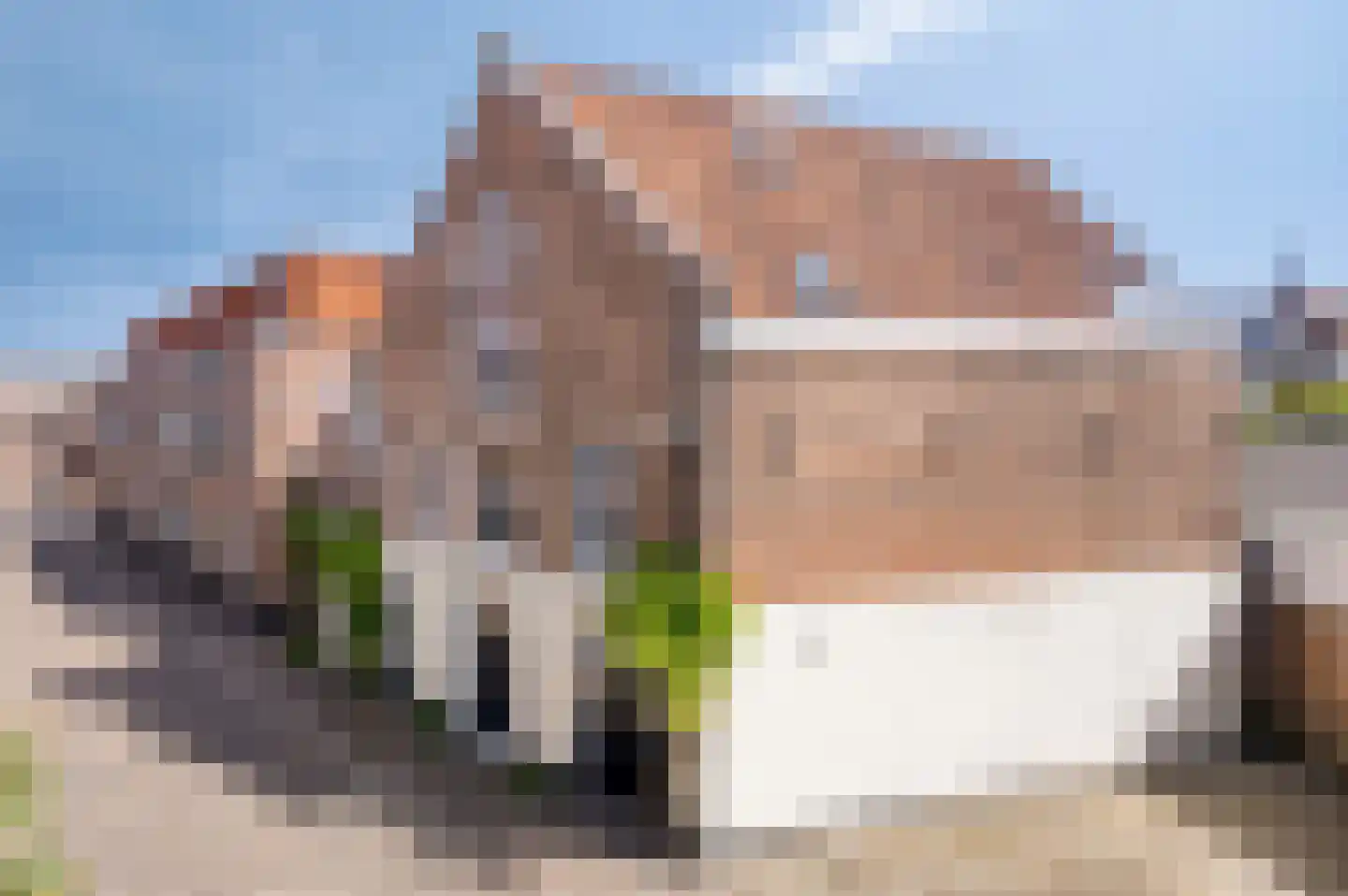 Lievenheersteeg 14 Zutphen foto 2