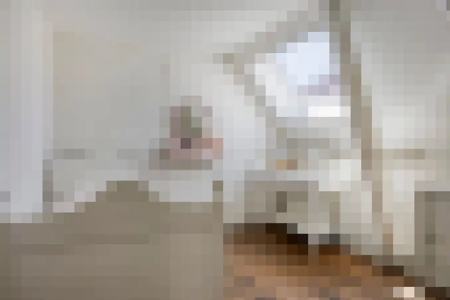 Lievenheersteeg 14 Zutphen thumbnail 32