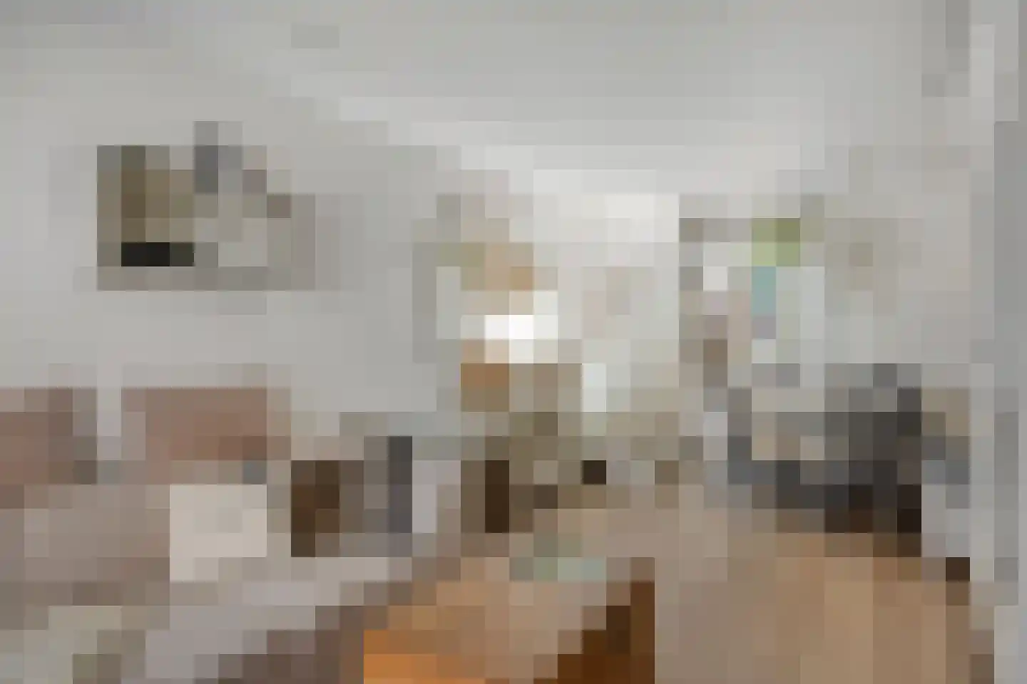 Lievenheersteeg 14 Zutphen thumbnail 36