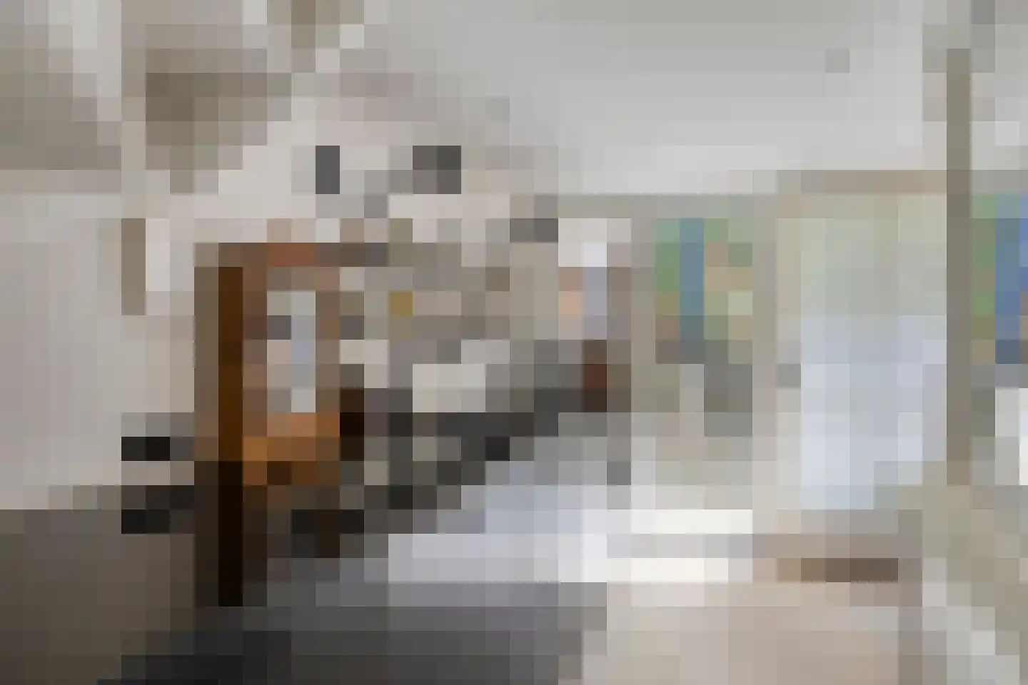 Lievenheersteeg 14 Zutphen thumbnail 39