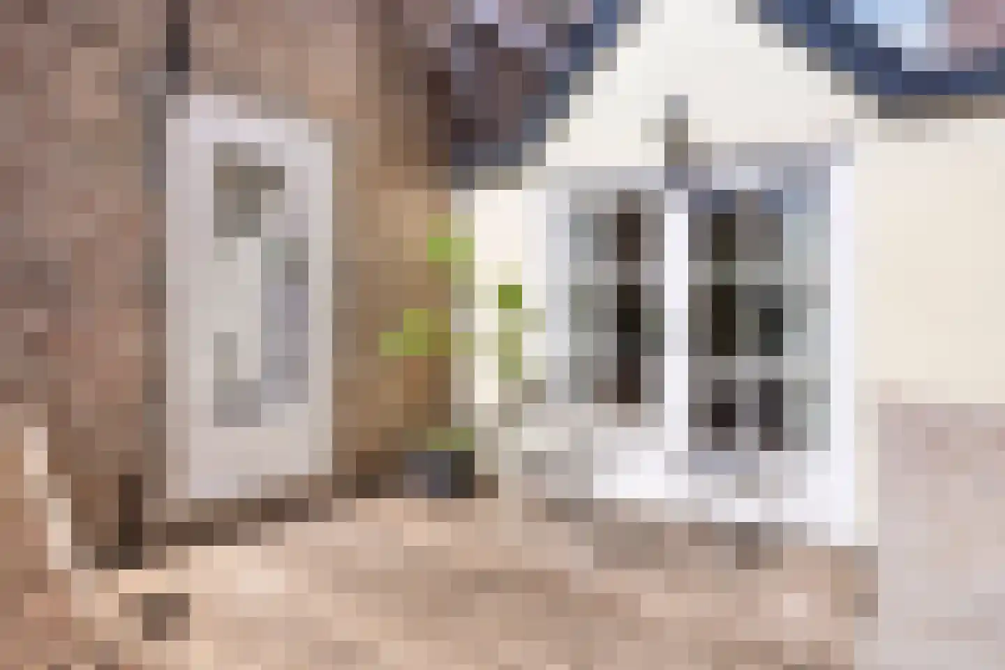 Lievenheersteeg 14 Zutphen thumbnail 4