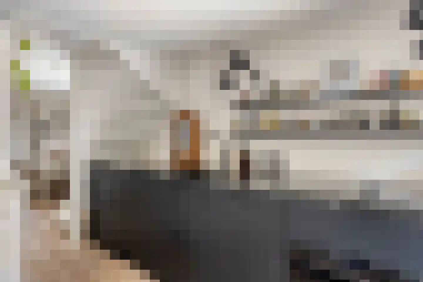 Lievenheersteeg 14 Zutphen thumbnail 40