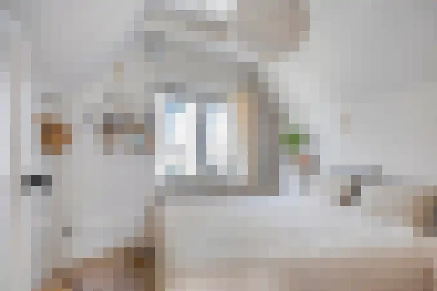 Lievenheersteeg 14 Zutphen thumbnail 46